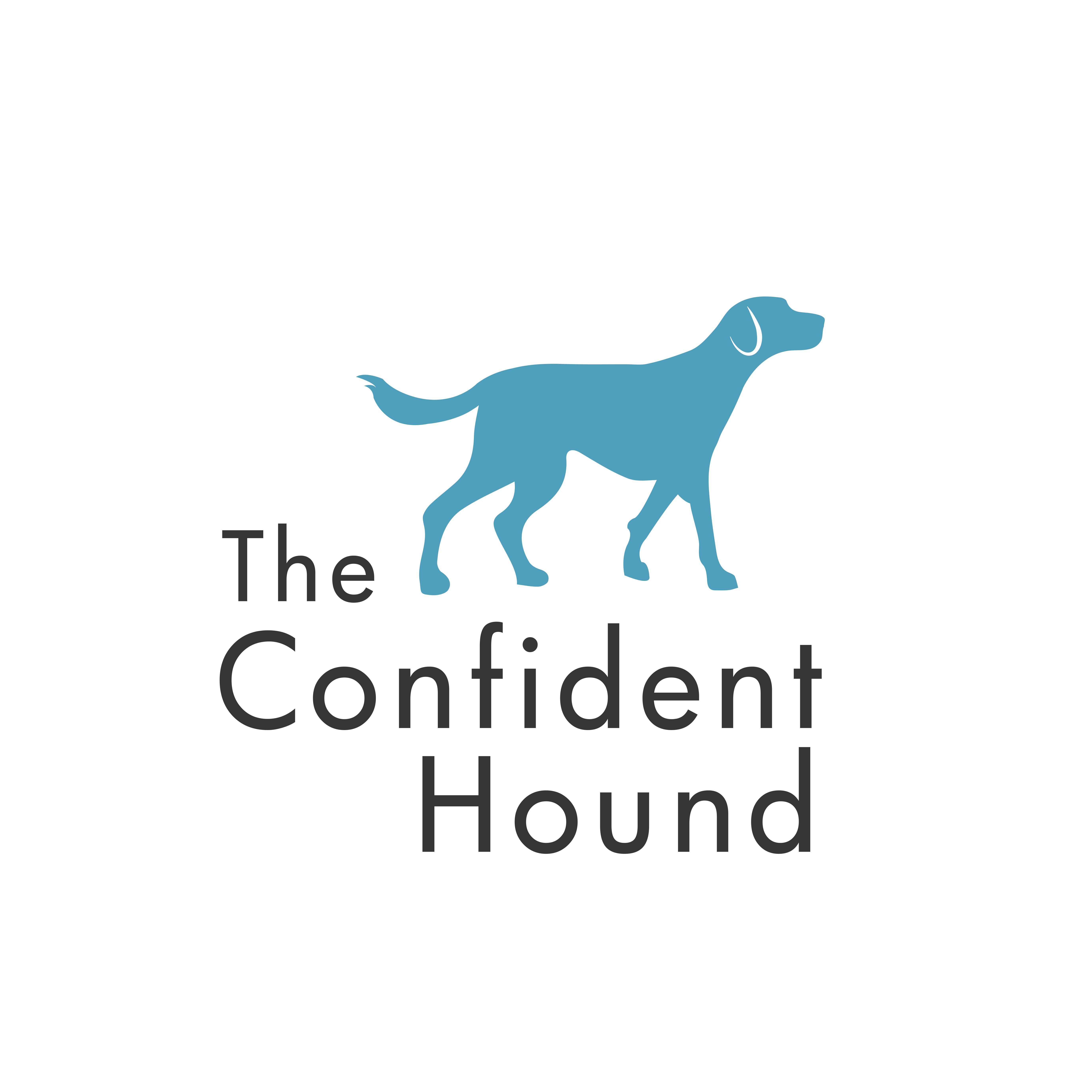 The Confident Hound